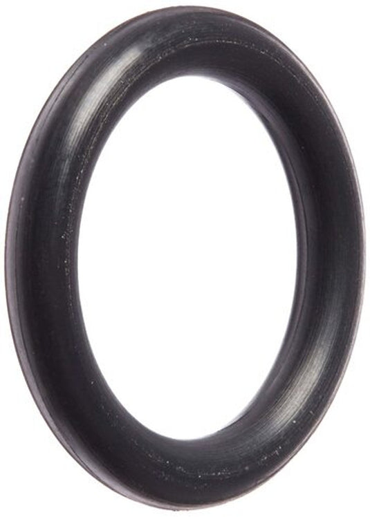 MSA O-Ring